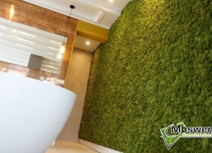 Moswand in de badkamer