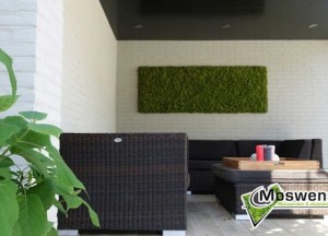 Mosschilderij binnen of buiten - Moswens