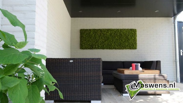 Mosschilderij binnen of buiten