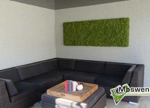 Mosschilderij binnen of buiten