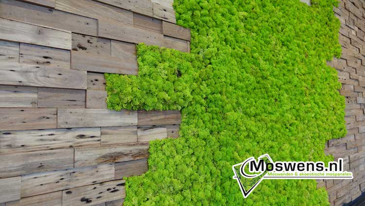 Wand van mos en teakhout
