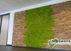 Wand van mos en teakhout