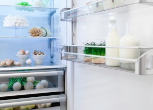 Koelkast met wit aluminium interieur - Fhiaba