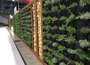 Verticaal tuinieren en divider