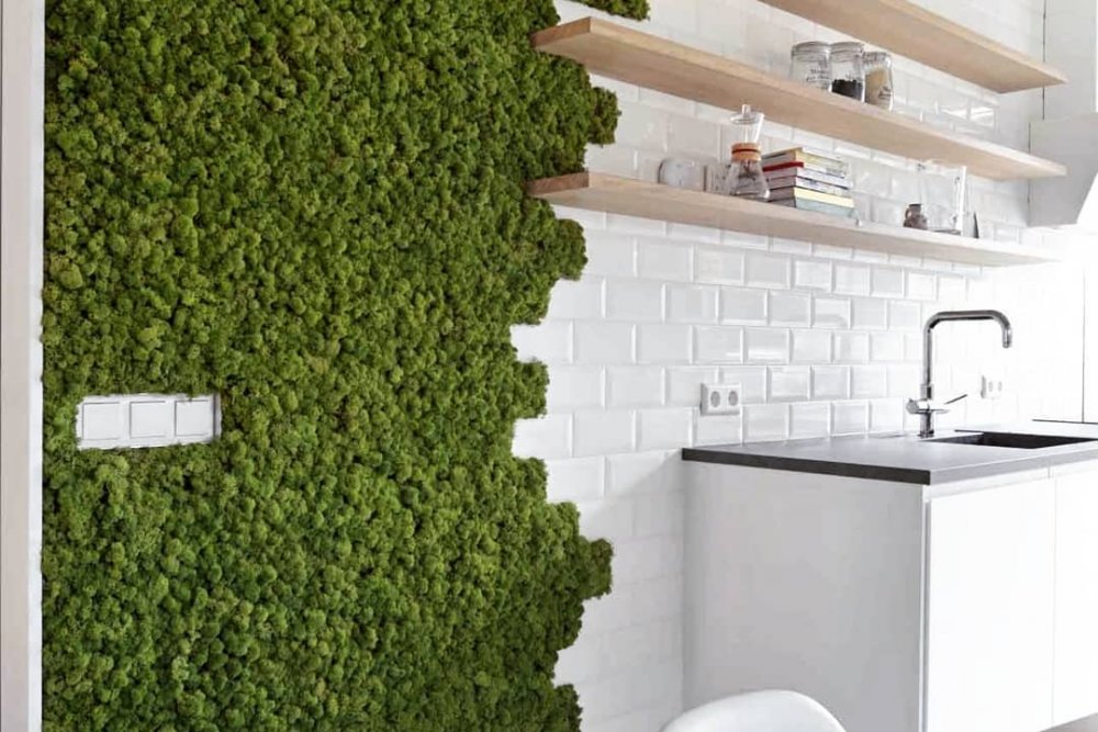 Moswand in de keuken