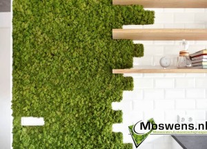 Moswand in de keuken