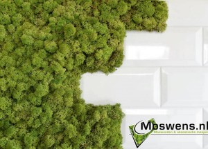 Moswand in de keuken