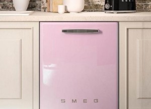 Integreerbare vaatwasser met retro look