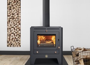 RENY Noest Vrijstaand Houtkachel - Reny