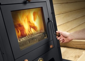 RENY Noest Vrijstaand Houtkachel