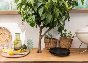 Luxe buitenbar met boomstamblad | Woodindustries