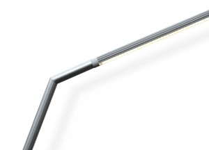 Zeno Lampada Giraffa