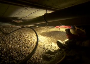 Vochtvrije kruipruimte met schelpen | Isoschelp