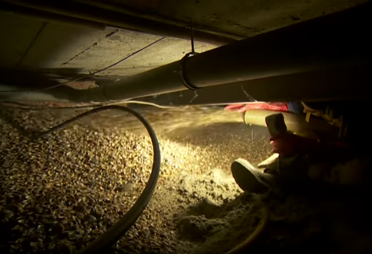 Energiezuinig wonen met schelpenisolatie | Isoschelp