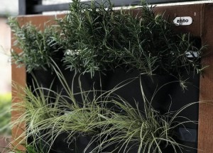 Verticale moestuin | Zeno