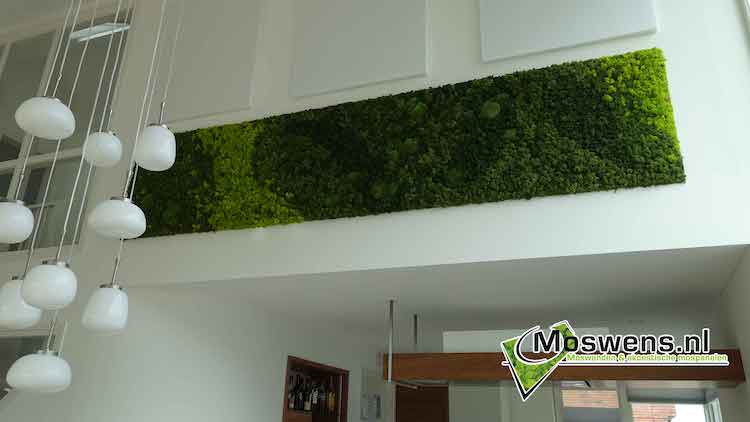 Mossenmix schilderij