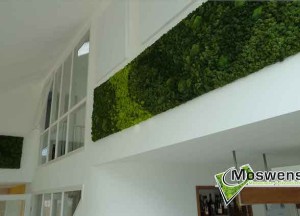 Mossenmix schilderij