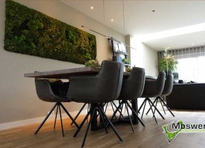 Mosschilderij in de woonkamer - Moswens