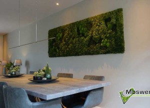 Mosschilderij in de woonkamer