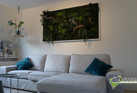Onderhoudsvrije plantenwand | Moswens - Moswens