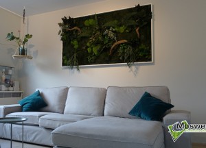 Onderhoudsvrije plantenwand | Moswens - Moswens