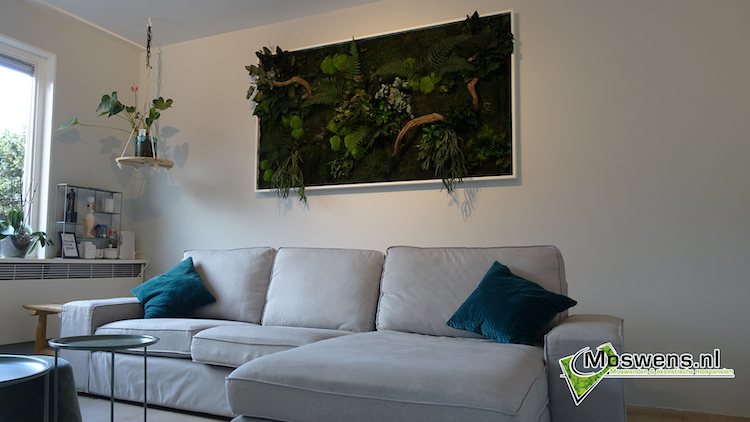 Onderhoudsvrije plantenwand | Moswens