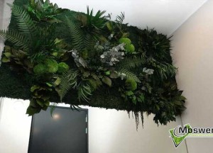 Junglewand in de badkamer | Moswens