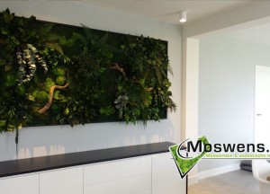 Onderhoudsvrije plantenwand | Moswens