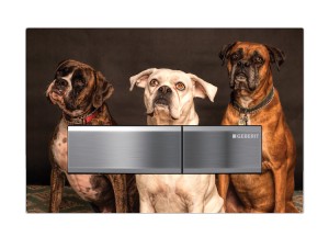 Persoonlijke toilet bedieningsplaat | Geberit