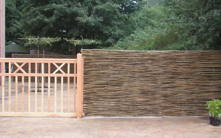 Wilgentenenschutting onderhoud | Wilhout