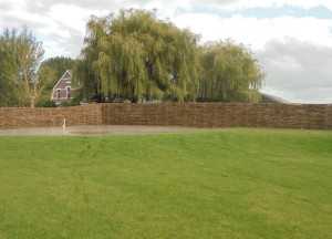 Wilgentenenschutting onderhoud | Wilhout