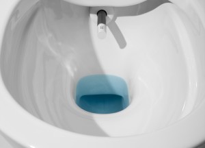 Laufen Cleanet NAVIA