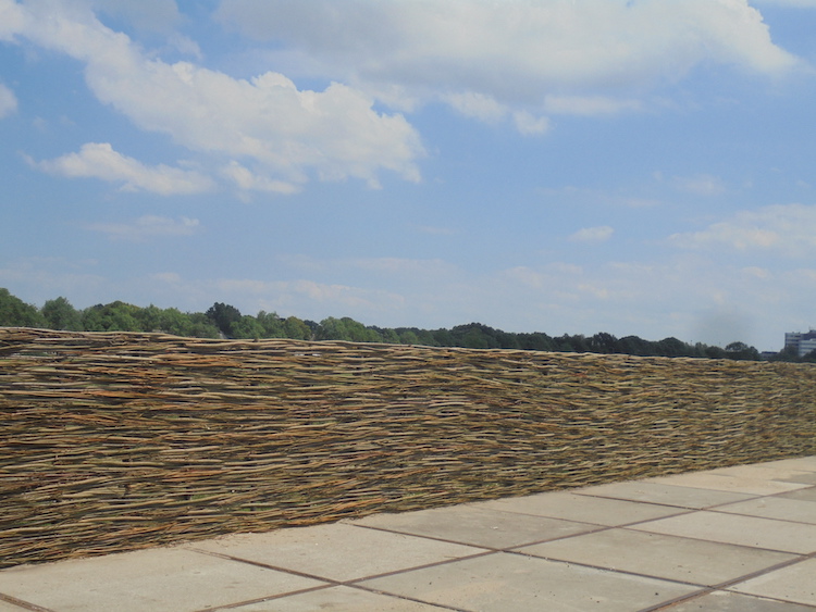 Verse wilgentenen | Wilhout wilgentenen schutting