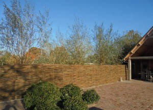 Verse wilgentenen | Wilhout wilgentenen schutting