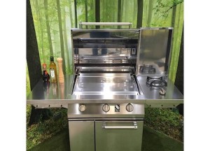 Gasbarbecues | Steel