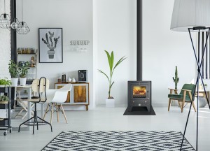 Houtkachel met tijdloze look | Reny - Reny