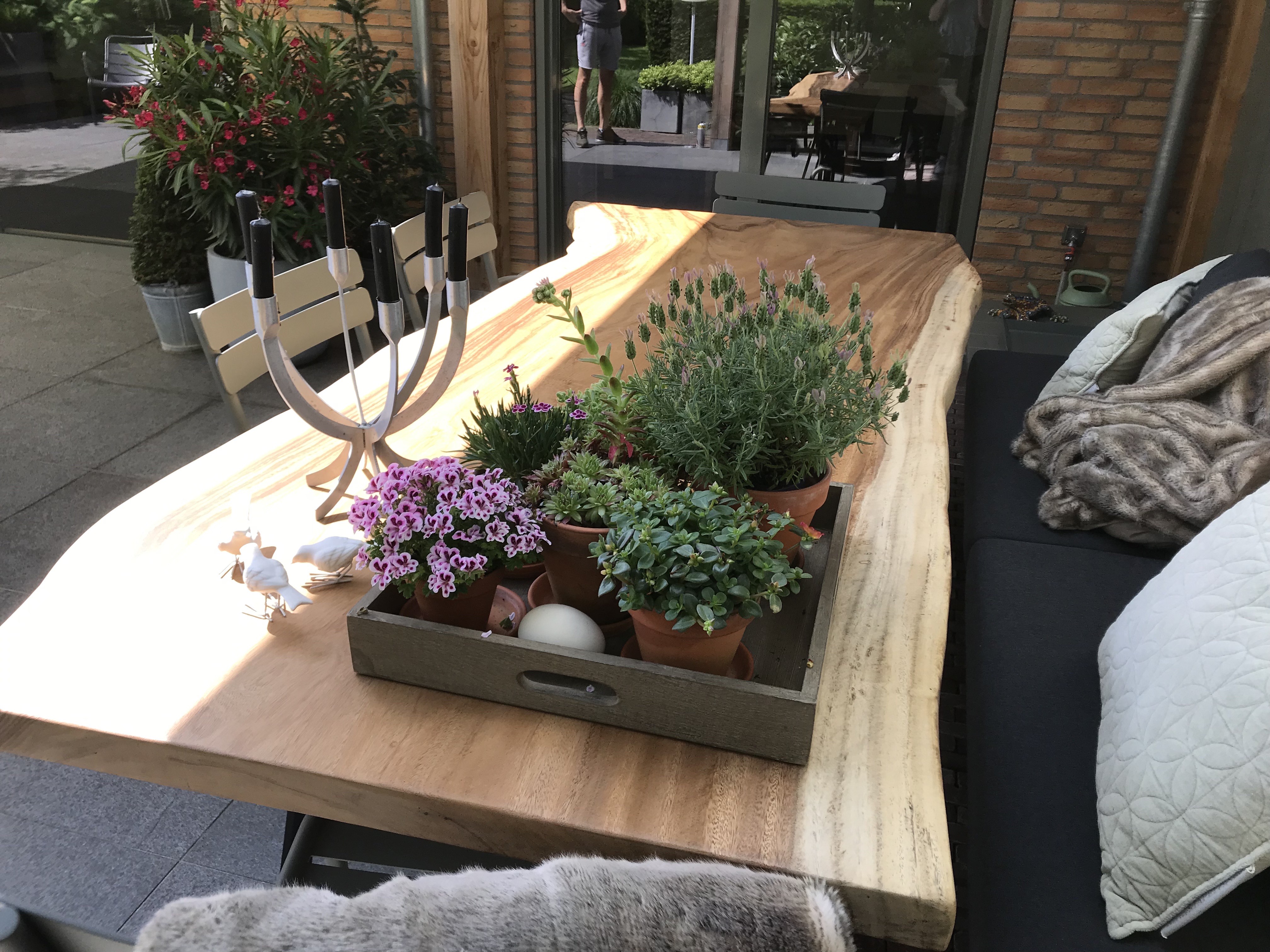 Boomstamtafel voor buiten