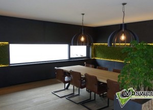 Natuurlijke wandbekleding | Moswens