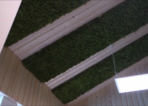 Geluidwerende mosplaten | Moswens - Moswens