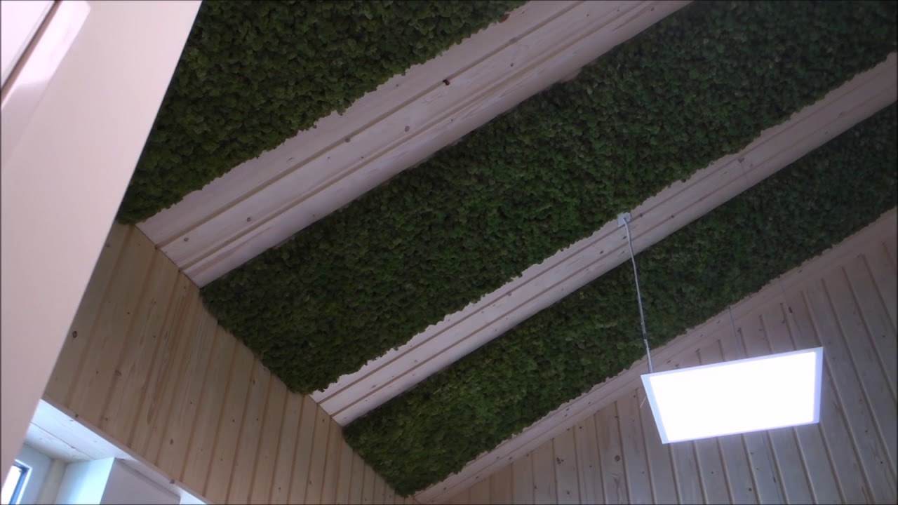 Geluidwerende mosplaten | Moswens