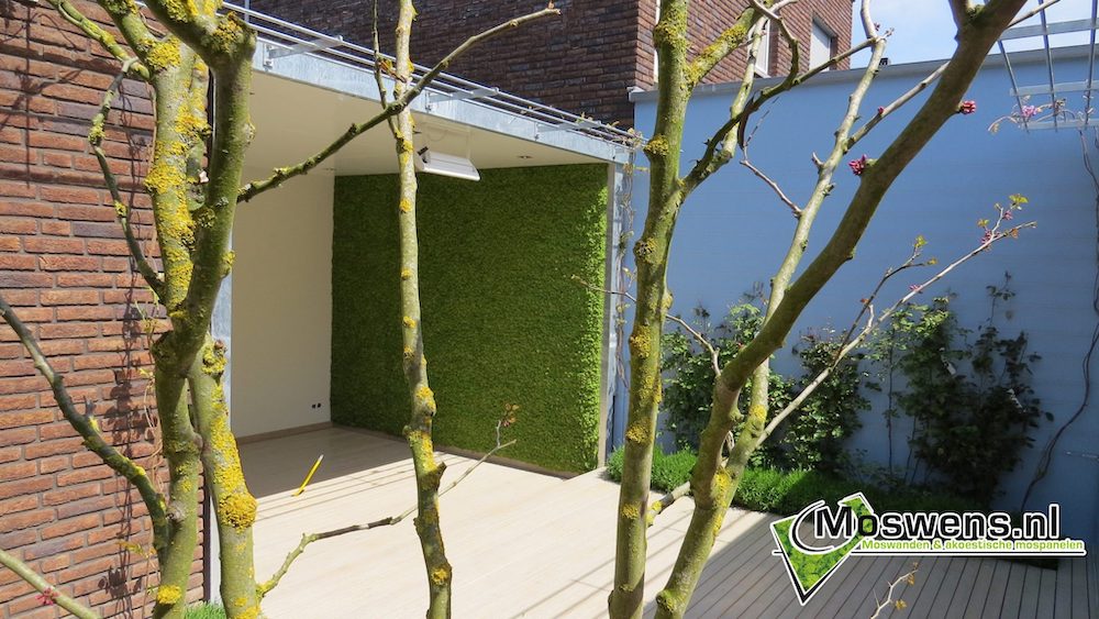 Tuinmuur met mos | Moswens
