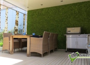 Tuinmuur met mos | Moswens