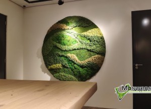 Schilderij van mossenmix | Moswens - Moswens