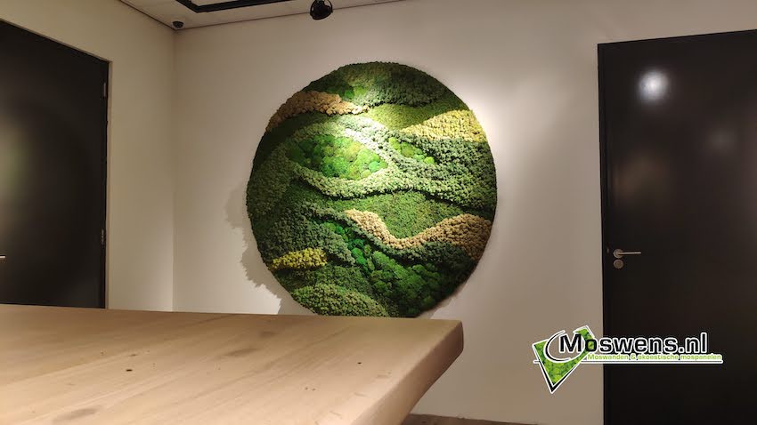 Schilderij van mossenmix | Moswens