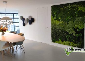 Schilderij van mossenmix | Moswens