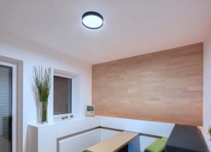 Led plafond lamp | Loxone