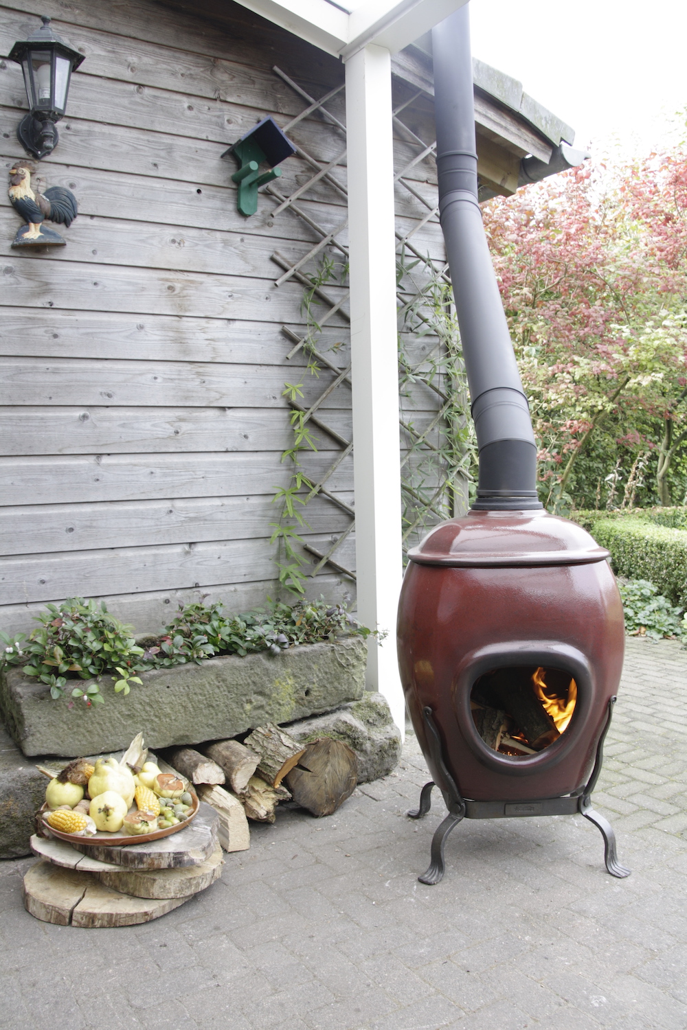 Afrikaanse pothaard | Art of Fire