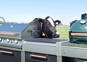 Luxe buitenkeuken met Green Egg