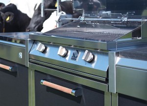 Luxe buitenkeuken met Green Egg