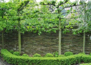 Natuurlijke erfafscheiding | Wilhout - Wilhout wilgentenen schuttingen